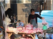 Những can thiệp đơn giản giúp thịt lợn an toàn hơn