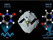 Phát hiện các khối cơ bản của RNA trong tiểu hành tinh