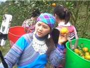 Shoppertainment: Tương lai của thương mại điện tử Việt Nam?