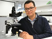 Cánh chuồn chuồn và da cá mập: Truyền cảm hứng cho nghiên cứu mới về công nghệ nano