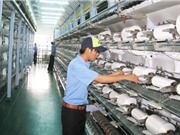 Tây Ninh: Hỗ trợ doanh nghiệp nhỏ và vừa khởi nghiệp sáng tạo