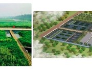 Xử lý nước thải từ làng nghề sản xuất bún nhờ hệ thực vật