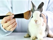 Anh cho phép thử nghiệm mỹ phẩm trên động vật sau lệnh cấm 25 năm