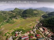 Bảo vệ bản quyền trên môi trường số: Cân bằng lợi ích giữa các bên