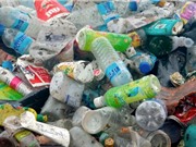 Phát hiện vi khuẩn có thể tiêu hóa nhựa ở nhiệt độ thấp