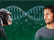 Những đoạn gene bị biến mất có thể là thứ tạo nên con người