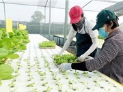 TPHCM đặt hàng làm đoạn phim ngắn về hoạt động KH&CN