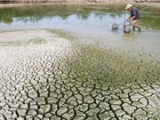 Người dân tộc thiểu số dễ phải hứng chịu rủi ro sinh kế vì biến đổi khí hậu 