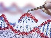 Công cụ chỉnh sửa gene mới
