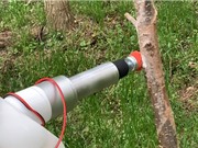 [Video] Robot giúp tìm kiếm và loại bỏ trứng côn trùng gây hại