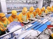Bà Rịa – Vũng Tàu: Nhiều chính sách hỗ trợ khởi nghiệp đổi mới sáng tạo