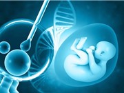 Phôi người tổng hợp đầu tiên trong phòng thí nghiệm