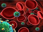 Phát hiện virus HIV ẩn náu trong tế bào miễn dịch của não người