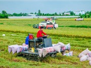 Thông báo tuyển chọn tổ chức, cá nhân chủ trì nhiệm vụ KHCN thuộc Chương trình KHCN phục vụ xây dựng nông thôn mới giai đoạn 2021-2025 (đợt 1)