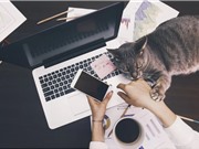 Phụ nữ Mỹ thích làm việc từ xa hơn nam giới