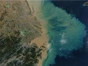 Nhiệt độ nước biển cao kỷ lục ở Bắc Đại Tây Dương