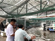 Ứng dụng công nghệ sinh học quản lý chất lượng nước nuôi trồng thủy sản