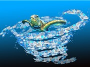 Mức độ ô nhiễm nhựa ở các hồ chứa nặng nề hơn đại dương