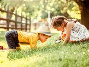 Óc tò mò giúp việc học hiệu quả hơn