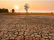El Niño có thể kéo dài đến tháng 2/2024