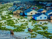 NướcGPT: Giải mã xâm nhập mặn ở đồng bằng sông Cửu Long