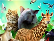 7 quy luật chi phối hình dạng động vật