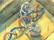 DNA cổ đại thay đổi ngành khảo cổ học?