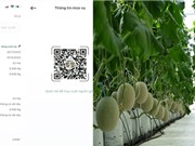 Ứng dụng miễn phí trong quản lý trang trại nông nghiệp