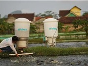 Con đường trở thành kỳ lân của startup thủy sản eFishery 