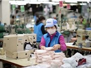 Sửa đổi Luật Tiêu chuẩn và Quy chuẩn kỹ thuật: Tập trung vào sáu nhóm vấn đề lớn