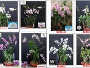 TPHCM tìm kiếm giải pháp chọn tạo giống cây, con mới