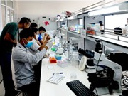 Con đường lây truyền sán lá ở hai tỉnh miền Bắc