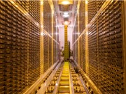 Anh công bố dữ liệu di truyền của 500.000 tình nguyện viên cho giới khoa học
