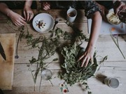 Gần một nửa số loài thực vật có hoa đang gặp nguy hiểm