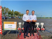 Phát động triển khai Đề án một triệu ha chuyên canh lúa chất lượng cao