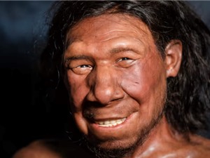 Thói quen dậy sớm có thể được thừa hưởng từ tổ tiên lai tạo Neanderthal 