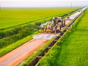 Thông báo tuyển chọn lần 2 tổ chức, cá nhân chủ trì nhiệm vụ KHCN thuộc Chương trình KHCN phục vụ xây dựng nông thôn mới giai đoạn 2021-2025 (đợt 1)