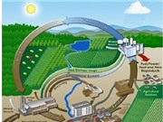 Ước mơ nhiên liệu sinh học từ sinh khối tảo