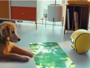 Một hiểu nhầm phổ biến về AI