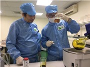 Chế phẩm nano trong điều trị hoại tử gan tụy cấp trên tôm