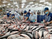 Sửa đổi Luật Tiêu chuẩn và Quy chuẩn kỹ thuật: Tháo gỡ vướng mắc về quy chuẩn cho doanh nghiệp