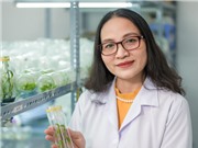 Chế phẩm chitosan từ vỏ tôm giúp kéo dài thời gian bảo quản nông sản