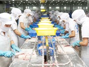 Đồng Tháp: Hỗ trợ doanh nghiệp nhỏ và vừa khởi nghiệp sáng tạo