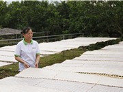 Sửa đổi Luật Tiêu chuẩn và Quy chuẩn kỹ thuật: Tập trung dữ liệu về tiêu chuẩn cơ sở