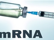 Anh thử nghiệm vaccine mRNA điều trị ung thư