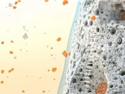 BioLumen - Công nghệ giảm hấp thụ đường trong thực phẩm