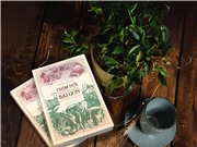 Những phác họa về kiếp nghèo ở Sài Gòn một thế kỷ trước
