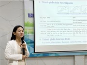 Cao lỏng tam thất chế biến theo dạng hồng sâm: Tiềm năng hỗ trợ điều trị ung thư