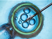Công nghệ mới tạo ra phôi thai mang gene từ hai người đàn ông