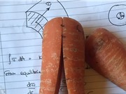 Cơ chế lão hóa của rau củ